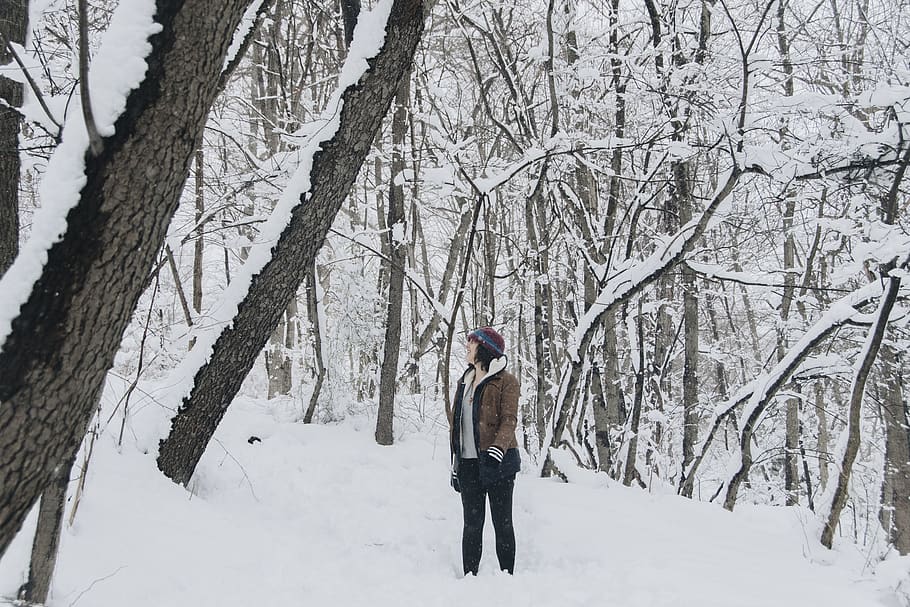 snow, trees, cold temperature, winter, real people, plant, covering HD wallpaper