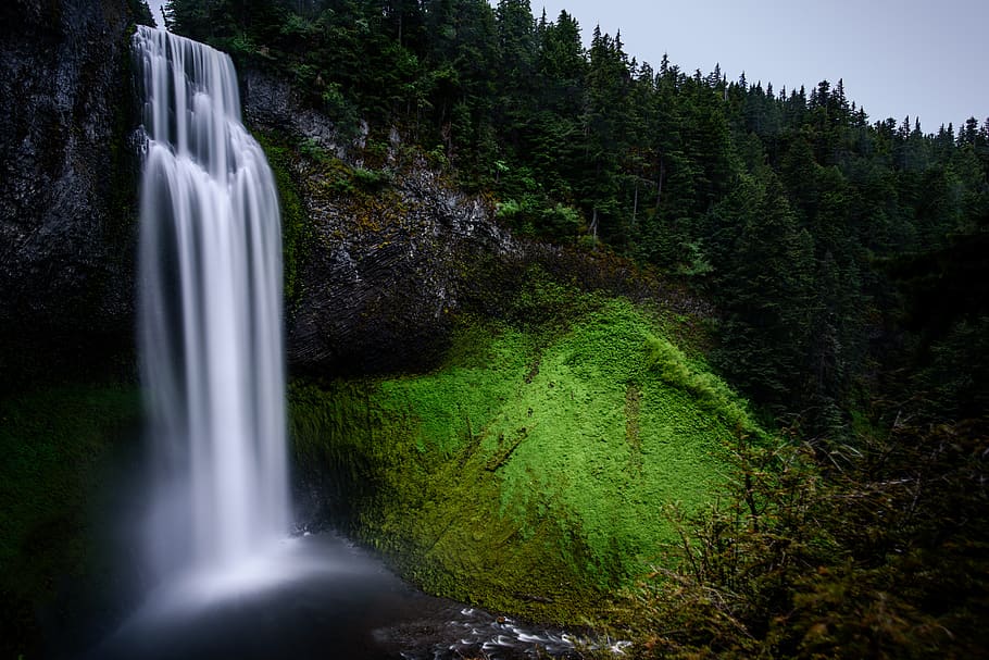 forest, landscape, moss, mountain, nature, outdoors, scenic HD wallpaper