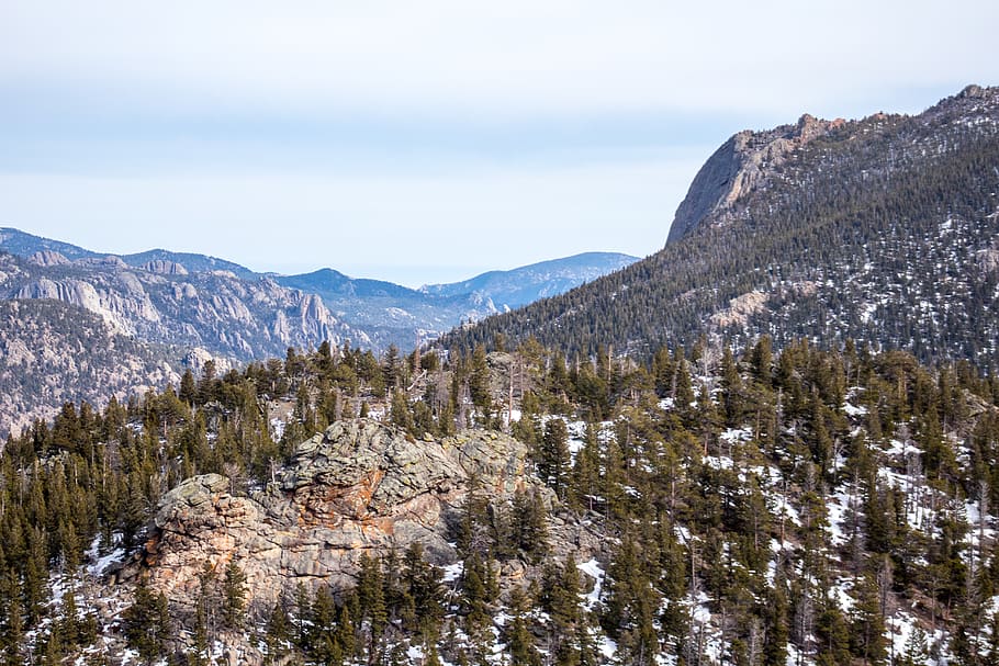 rocks, trees, mountains, colorado, forest, rocky mountain nation park HD wallpaper