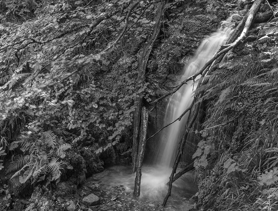 spain, waterfall xiblu, tree, land, forest, no people, nature HD wallpaper