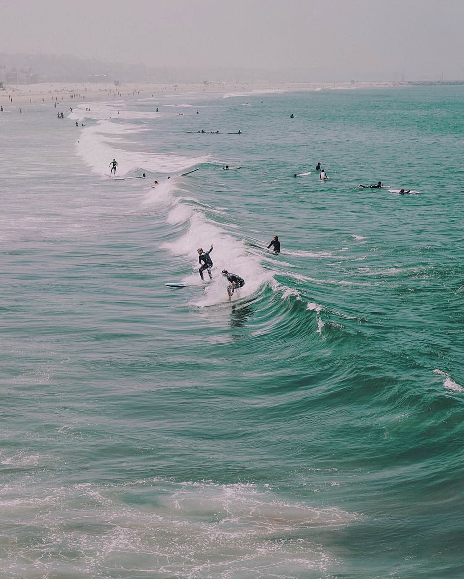 people surfing on ocean waves, beach, surfer, sea, sand, coast