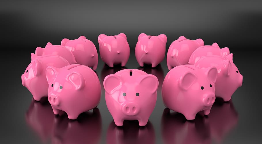 piggy, bank, money, save, finance, financial, loan, profit, HD wallpaper