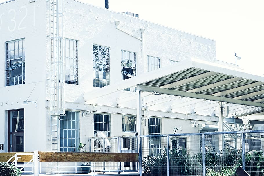 warehouse, building, windows, ladder, white, fence, plants HD wallpaper