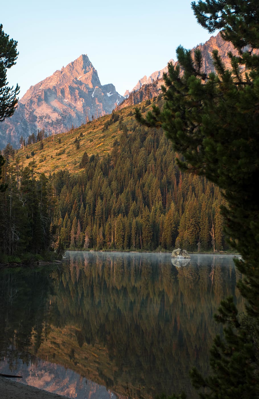 united states, string lake, forest, mountain, wilderness, wyoming