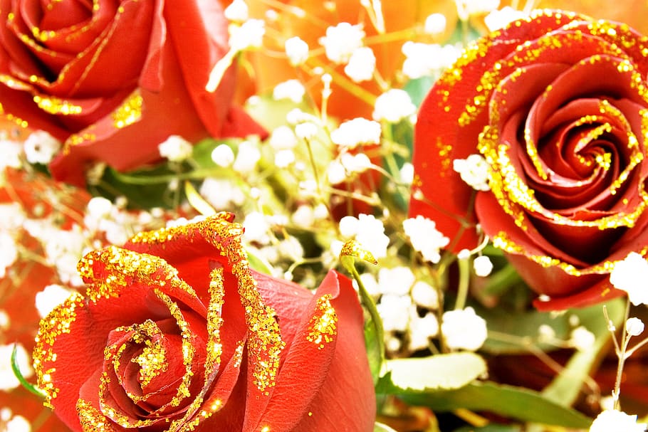 rose, red, stem, background, valentines, gold, golden, decoration, HD wallpaper