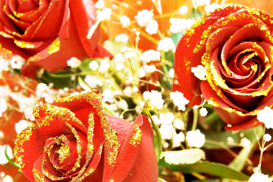 rose, red, stem, background, valentines, gold, golden, decoration HD wallpaper