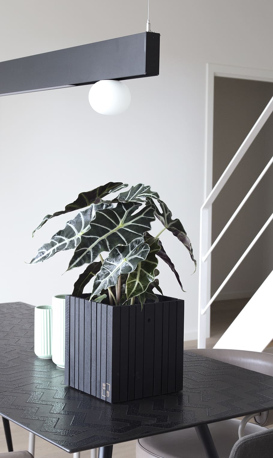 plant in pot, potted plant, no people, indoors, nature, lighting equipment HD wallpaper