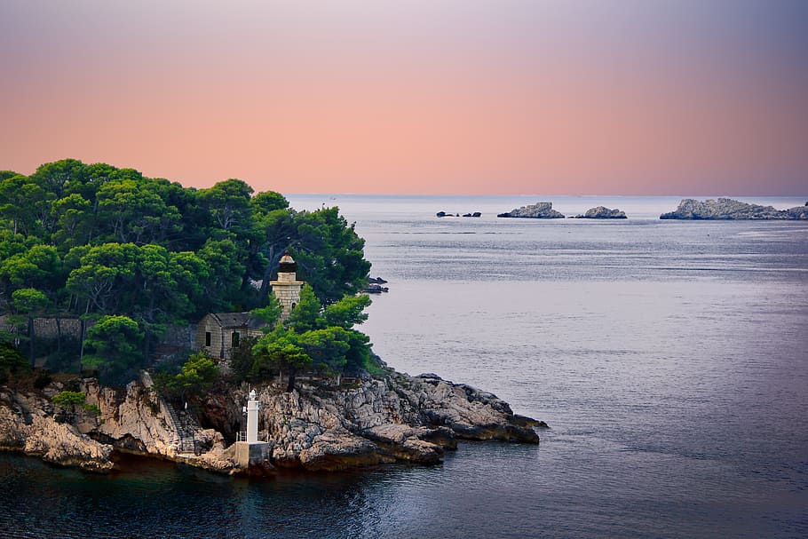 building covered in trees near body of water, cliff, lighthouse HD wallpaper