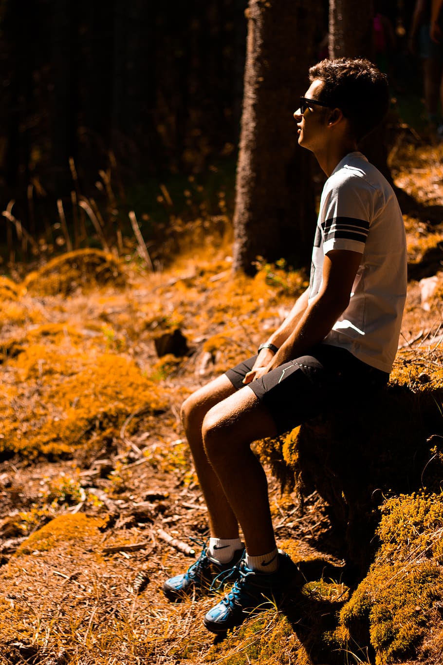 forest, trees, borther, orange, autumn, sitting, full length HD wallpaper