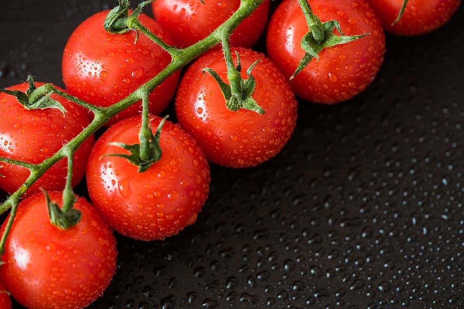 Perfect Red Wet Tomatoes with Room For Text, close up, drops