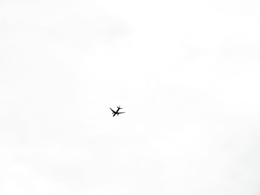 plane, airplane, fly, sky, heaven, cloud, wing, travel, air vehicle HD wallpaper