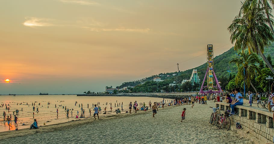 people on seashore, person, human, building, bridge, architecture HD wallpaper