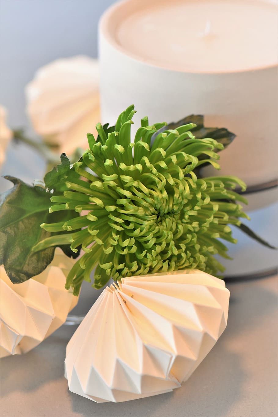 decoration, table decorations, candle, flowers, floral decorations HD wallpaper