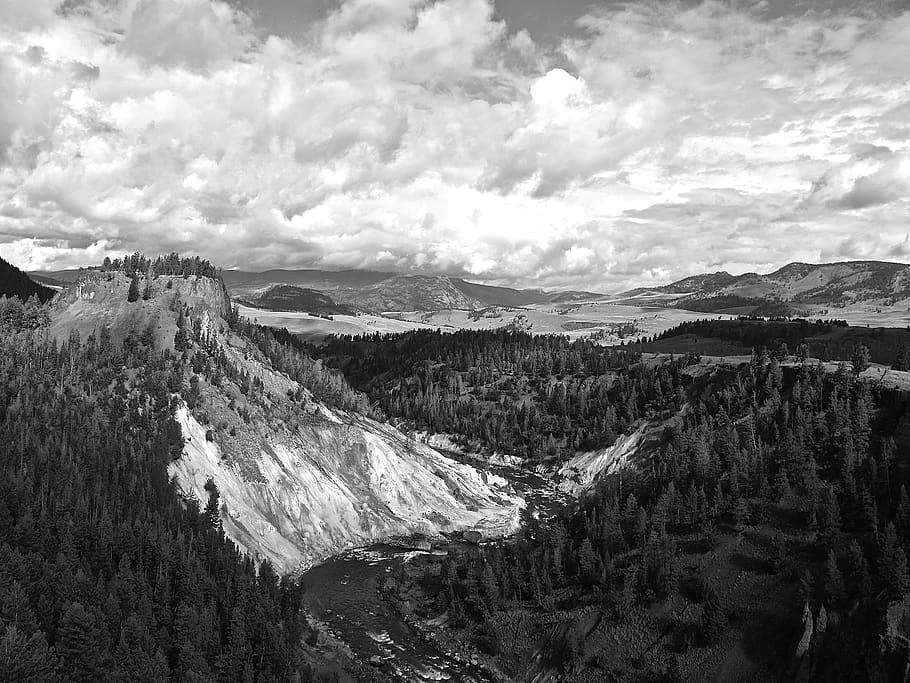 mountain range surrounded by trees, outdoors, plant, abies, fir HD wallpaper