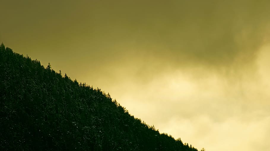 green mountain, slope, nature, plant, outdoors, grass, tree, field HD wallpaper