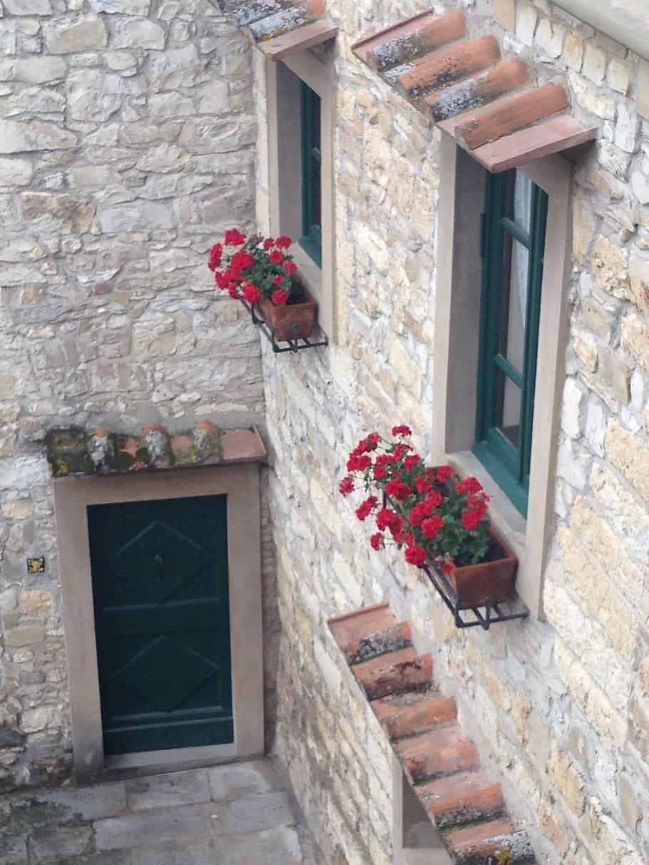 architecture, building exterior, flower, built structure, window HD wallpaper