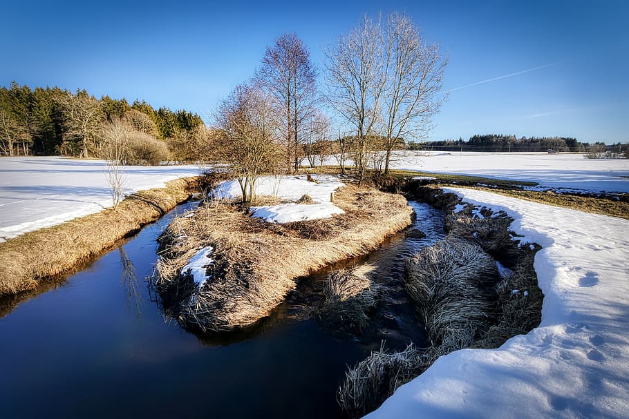 winter, bach, snow, nature, landscape, water, cold, trees, wintry HD wallpaper