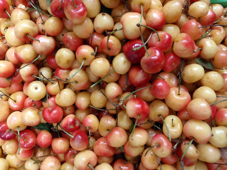 Bunch of red and yellow cherry at a farmers market in San Francisco HD wallpaper