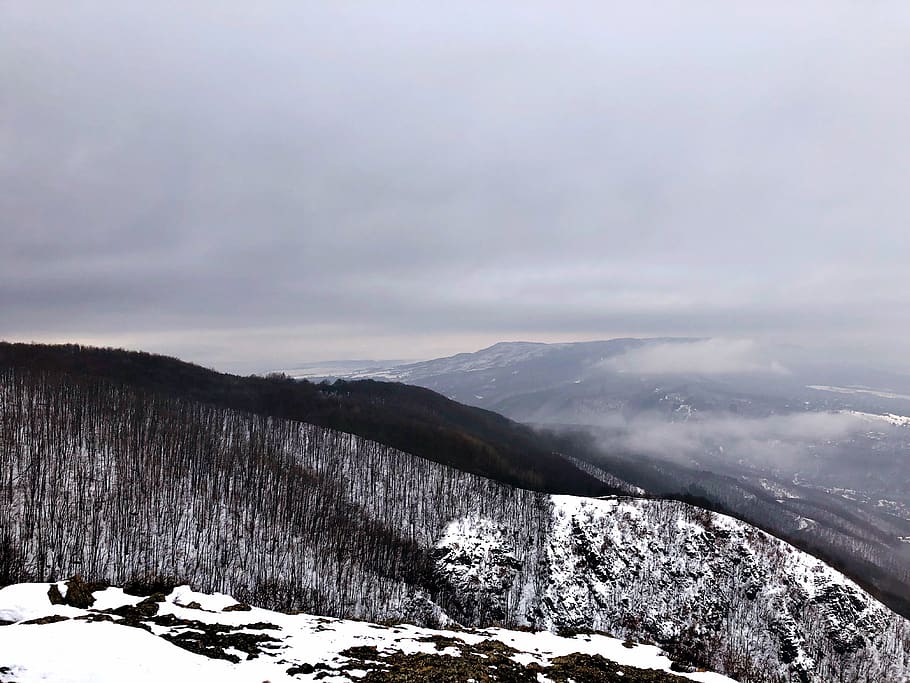 mountain covered with snow, outdoors, nature, ice, tree, plant HD wallpaper