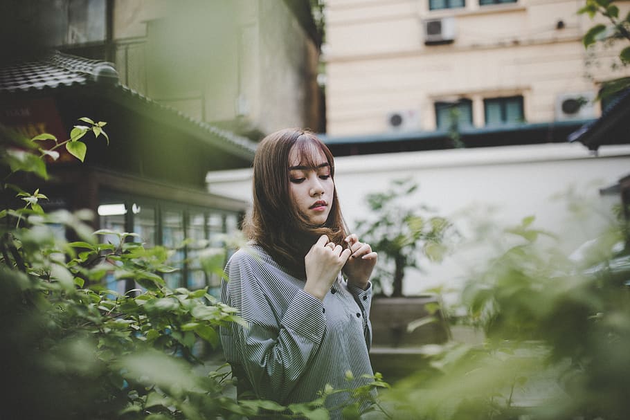 vietnam, hanoi, plant, one person, young adult, young women HD wallpaper