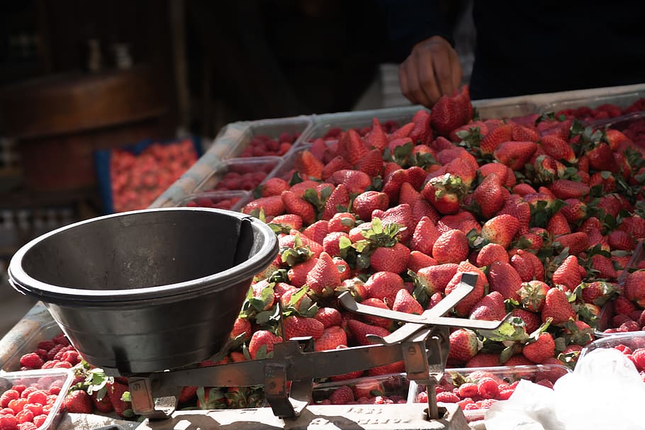 food, fruit, plant, strawberry, medina, morocco, fez, market