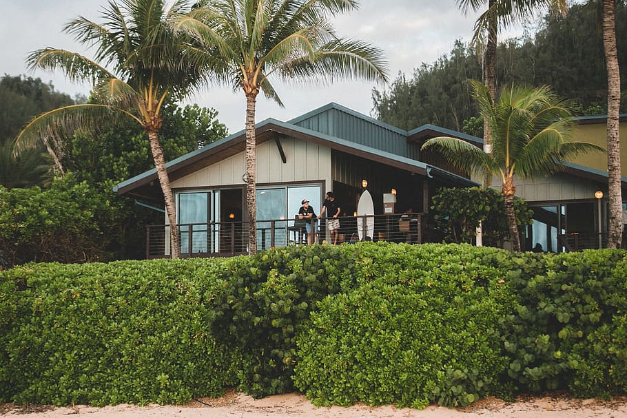 surfboard, man, tree, plam, house, building, sand, railing HD wallpaper