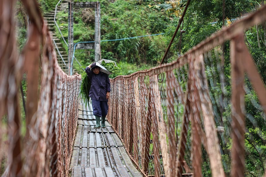 person walking on wooden bridge, building, rope bridge, suspension bridge