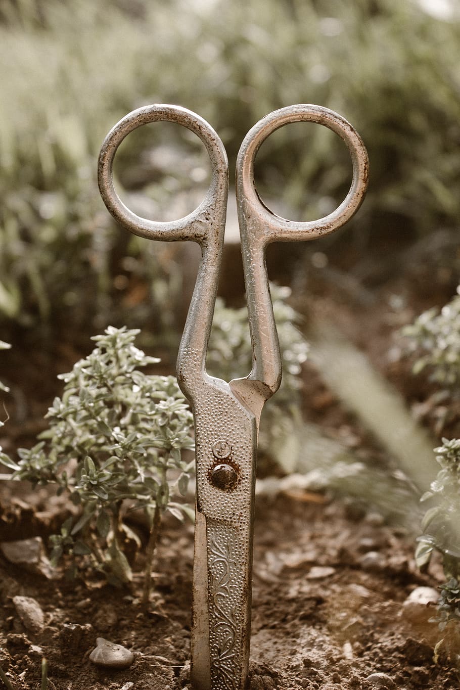 scissors, earth, green, sky, bokeh, closeup, close-up, metal HD wallpaper