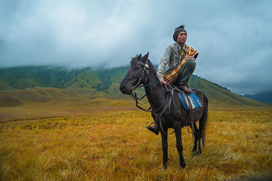 Photography of a Person Riding a Horse, animal, clouds, cloudy HD wallpaper