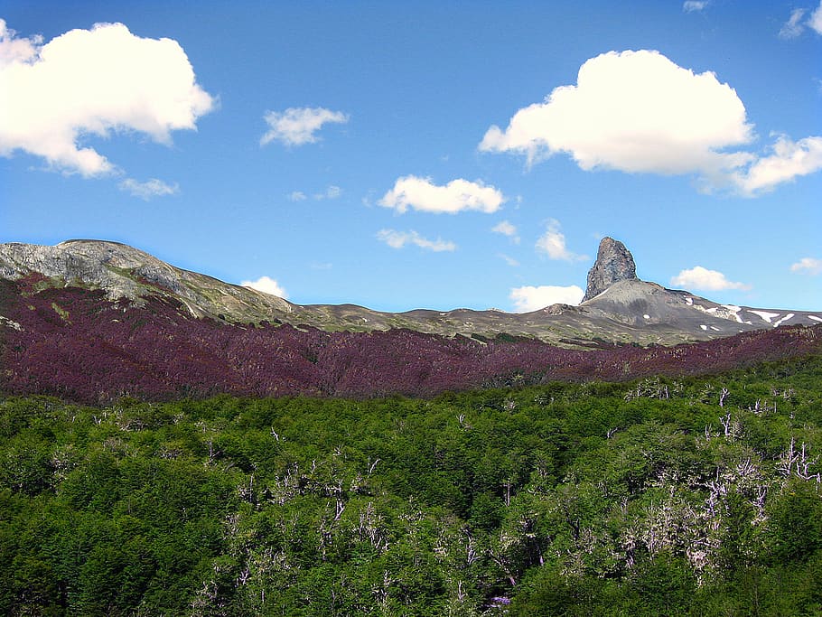 trees, mountains, rocks, forest, sky, blue, cloud, green, bosque HD wallpaper
