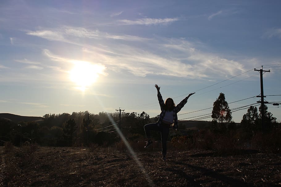 silhouette, sunset, evening, trees, petaluma, sky, real people HD wallpaper