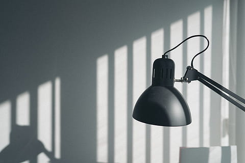 black study lamp, lampshade, table lamp, blossom, plant, flower HD wallpaper