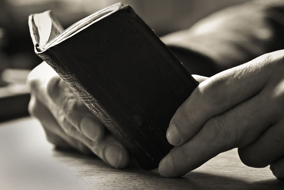 person reading bible, hand, human hand, human body part, holding HD wallpaper