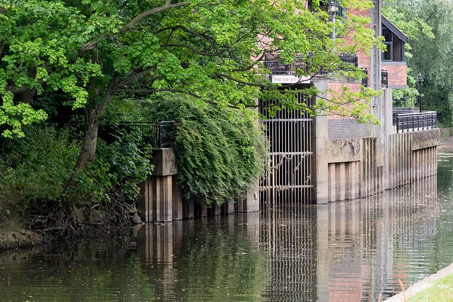 canal, york, water, reflection, plant, tree, built structure HD wallpaper