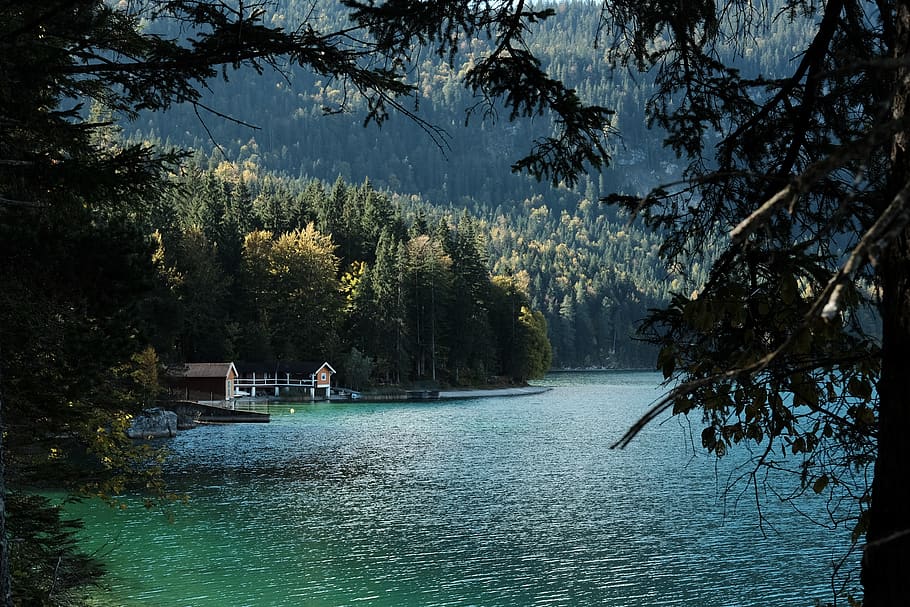 germany, eibsee, grainau, landscape, green, trees, cambvibes HD wallpaper