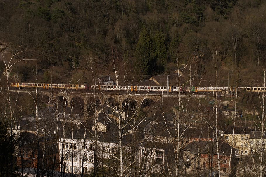 bridge, architecture, train, city, luxembourg, river, tree HD wallpaper