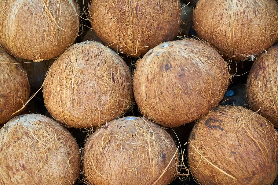 india coconut, fruit, food, delicious, fresh, nutrition, sweet, HD wallpaper