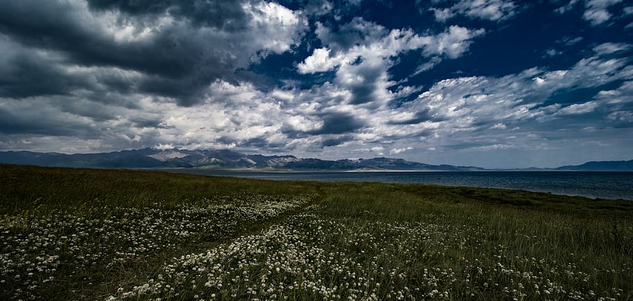 lake, wind, flower, mountain, cloud, xinjiang, china, cloud - sky HD wallpaper