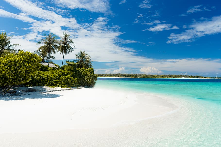 shore during daytime, nature, land, outdoors, shoreline, water HD wallpaper