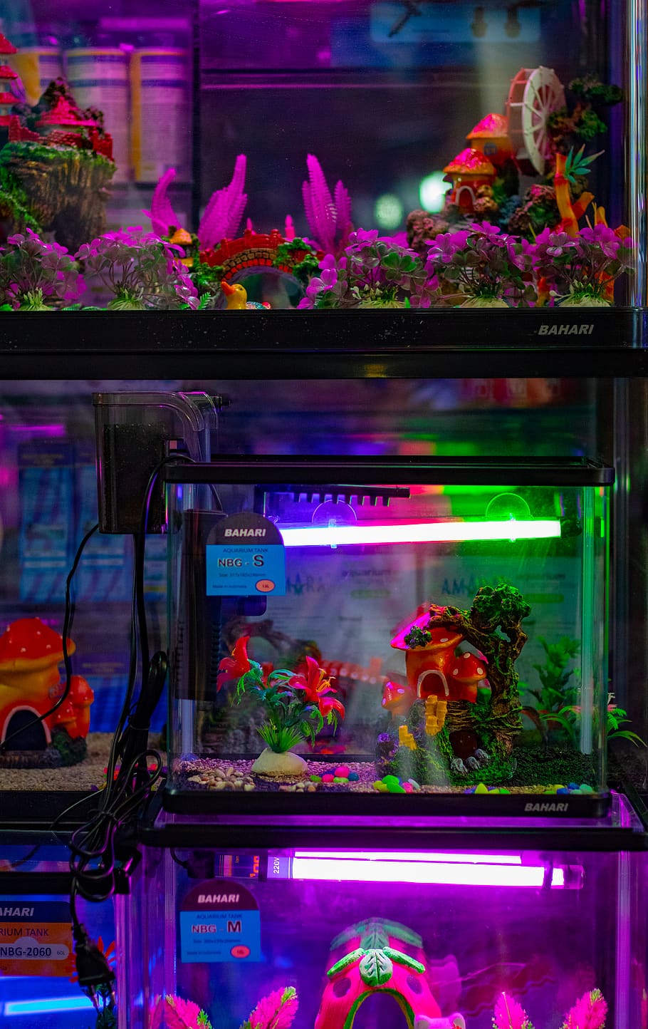 fish tank lot, flower, flowering plant, illuminated, indoors HD wallpaper