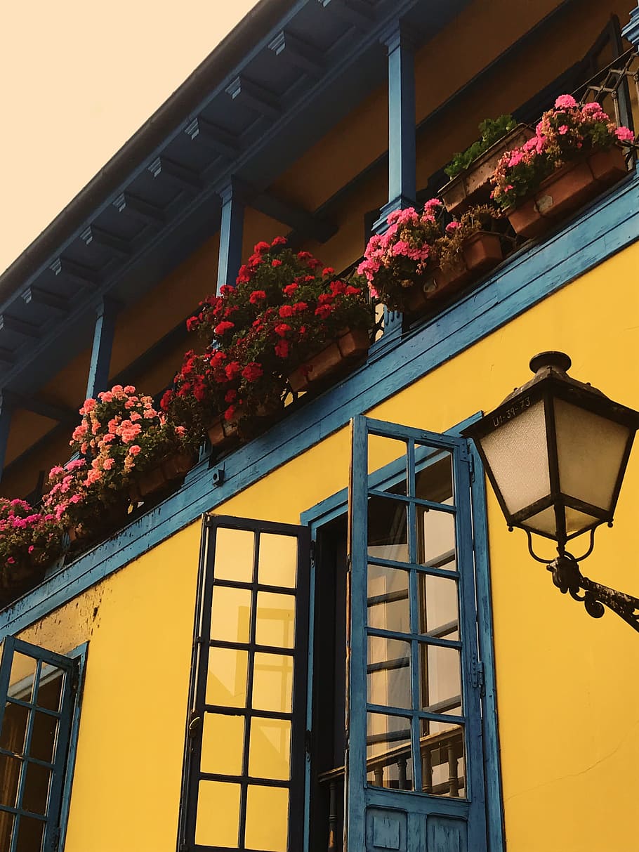 Balcony With Pink and Red Petaled Flowers, architecture, building HD wallpaper