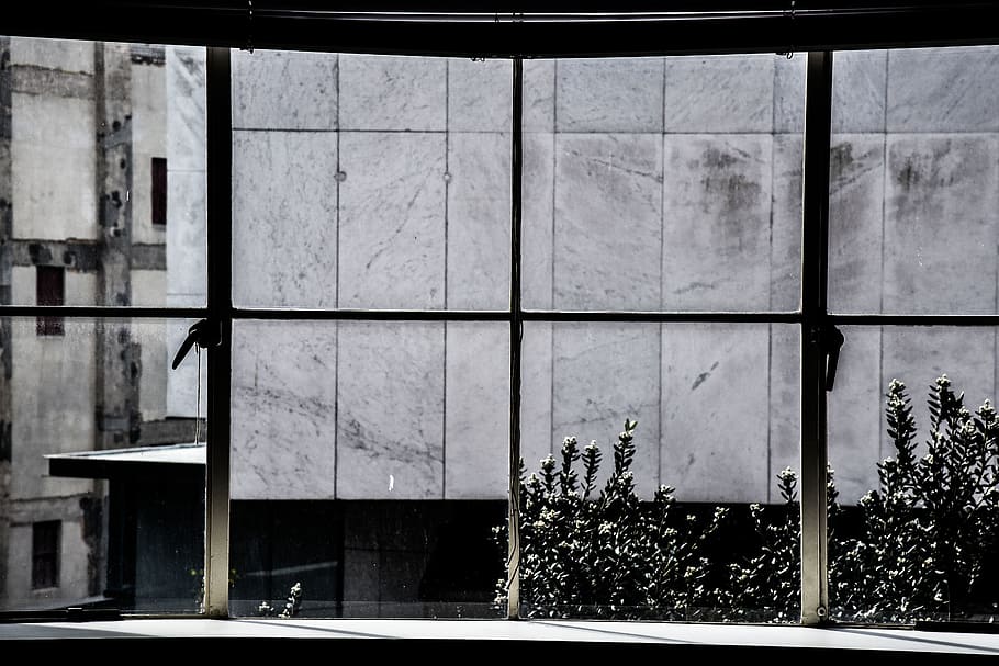 closed clear glass windows, building, architecture, wall, nature HD wallpaper