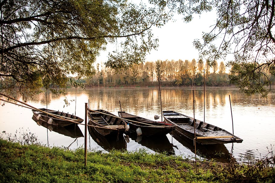 water, nature, tree, river, wood, barque sur la loire, france HD wallpaper