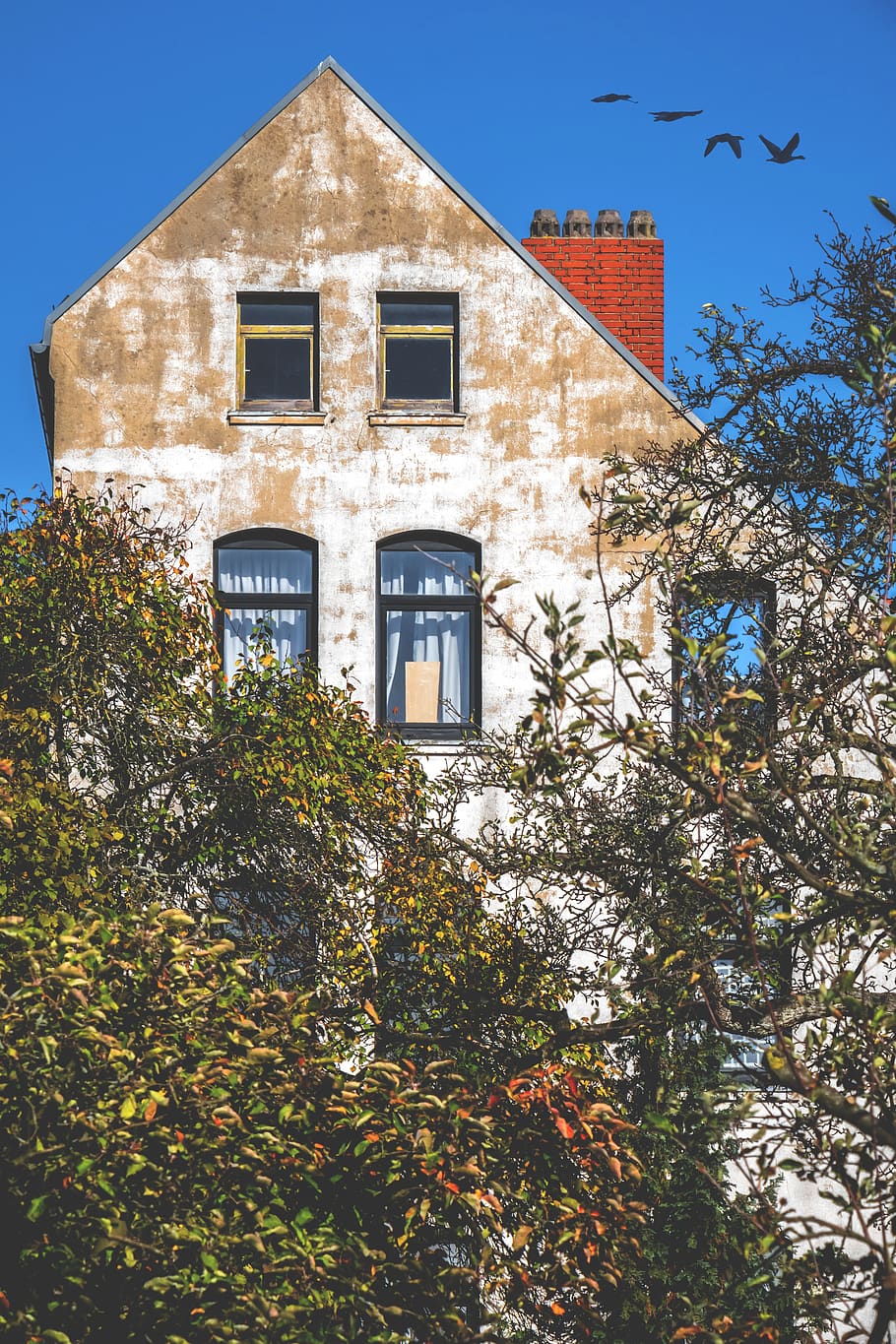 hauswand, facade, wall, plaster, house, window, weathered, flake HD wallpaper