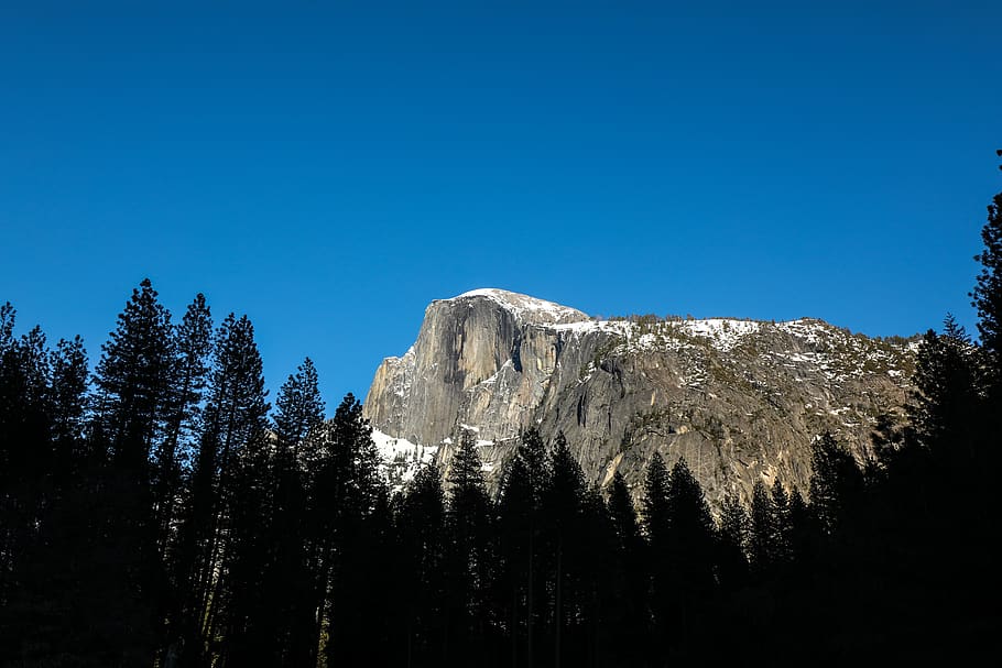 grey mountain and trees under blue sky, plant, fir, abies, nature HD wallpaper