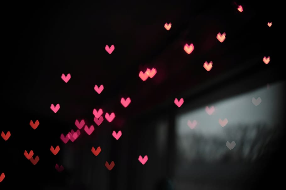 love, valentine's day, flowers, heart, red, rose, petal, bouquet, HD wallpaper