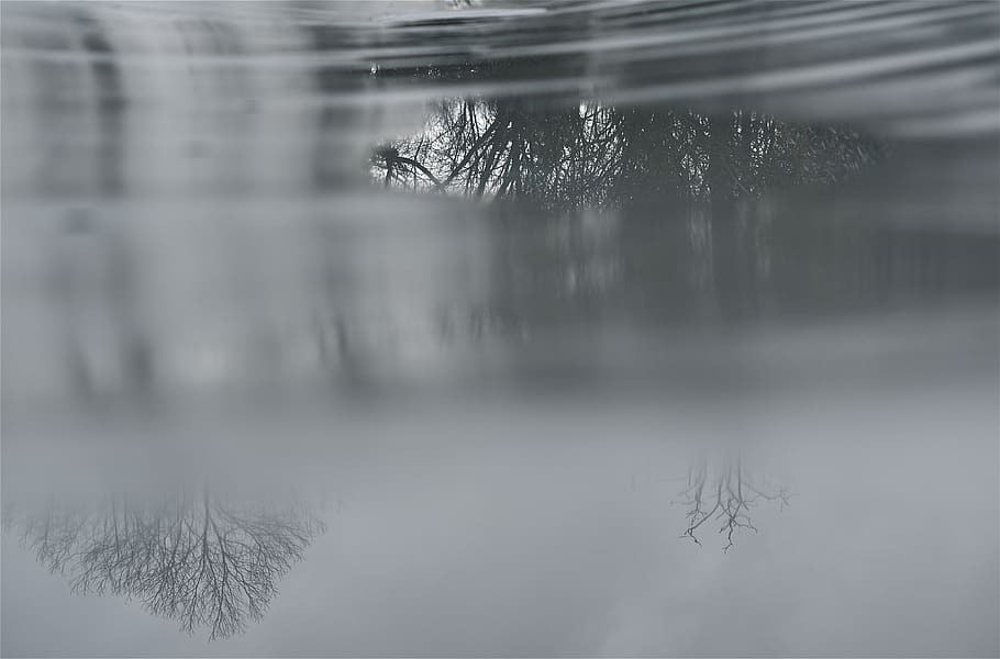 puddle, water, reflection, tree, wet, landscape, winter, plant HD wallpaper
