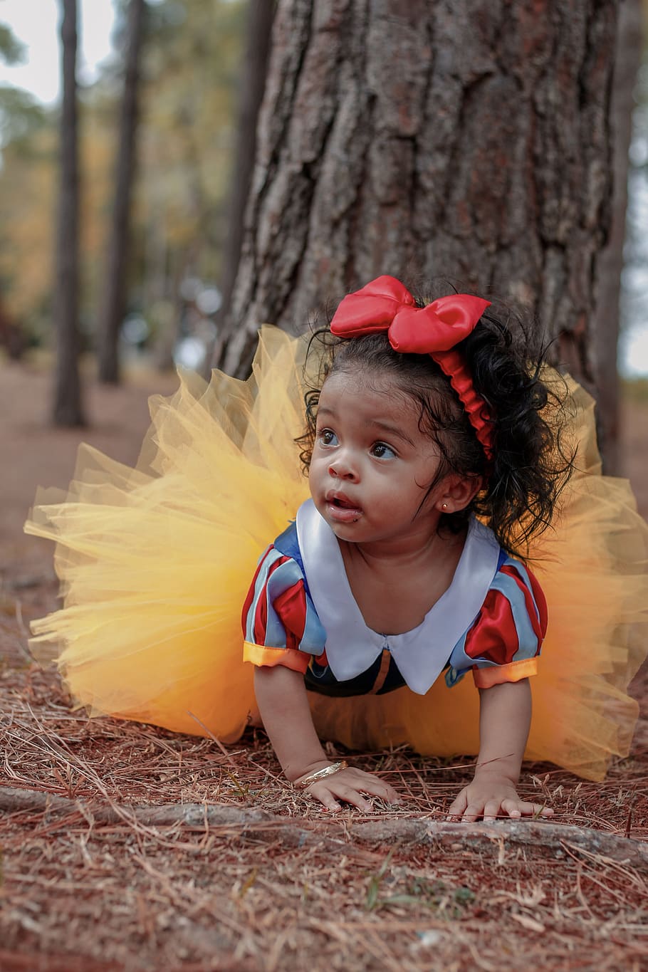Photo of Baby Girl in Tutu Dress Crawling Near Tree, adorable