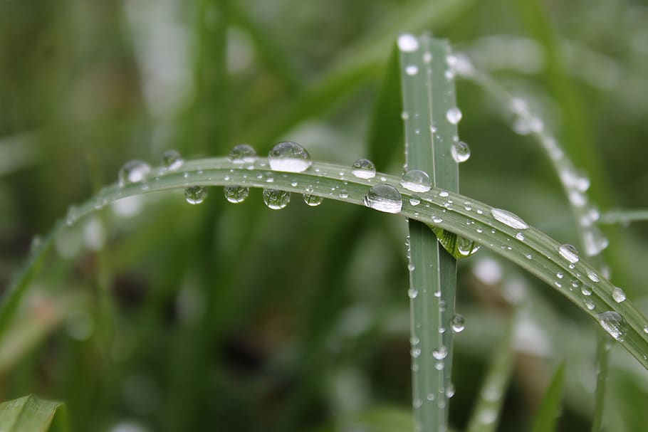 Water wetter. Стекло передний план.