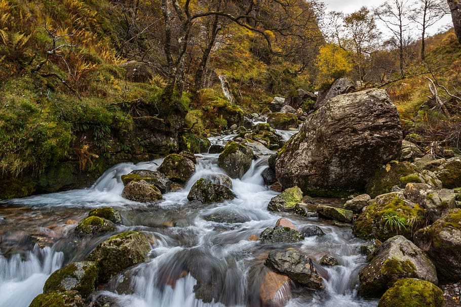 waterfalls and rocks, beauty in nature, tree, forest, plant, scenics - nature HD wallpaper